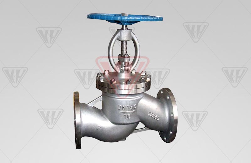 Stainless steel globe valve