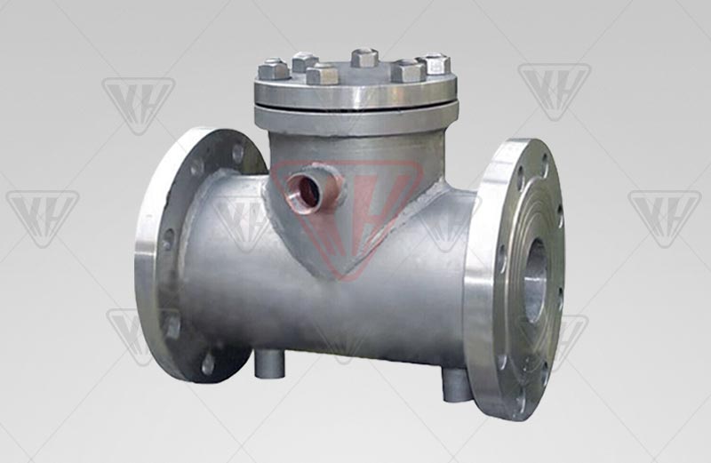 Insulation check valve